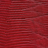 Red Crocodile Textured Case