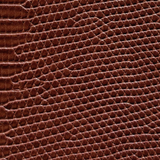 Chocolate Crocodile Textured Case